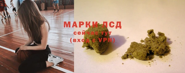 твердый Надым