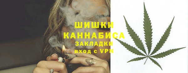 твердый Надым