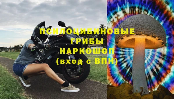 твердый Надым