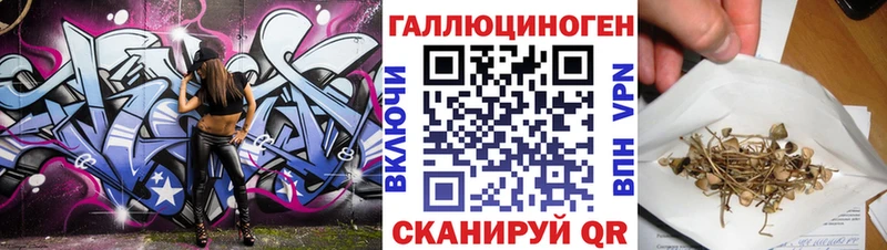 Псилоцибиновые грибы Cubensis  хочу   Грозный 