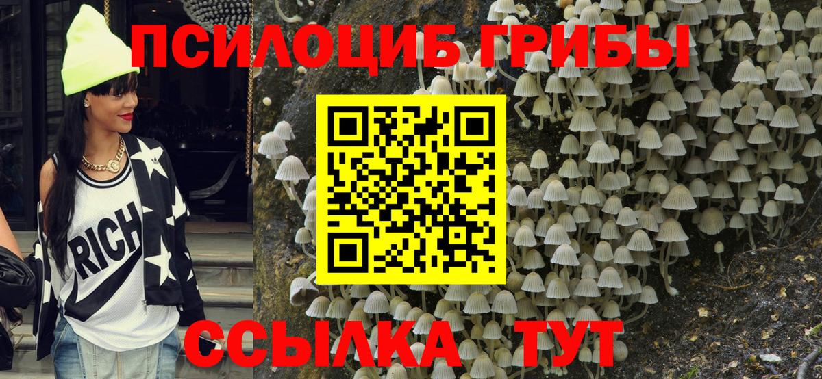 Грозный  Псилоцибиновые грибы Psilocybe  Вход с VPN 