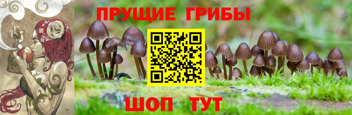 Псилоцибиновые грибы MAGIC MUSHROOMS Грозный
