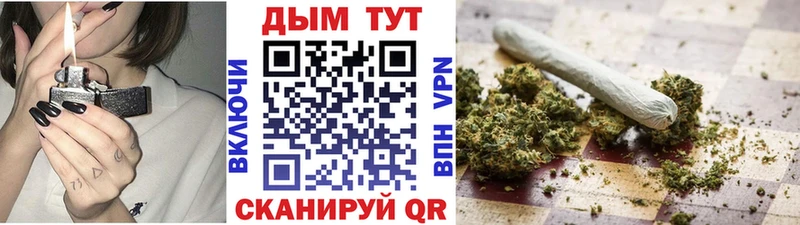 Конопля планчик  купить  сайты  Грозный 